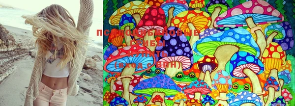 не бодяженный Коряжма