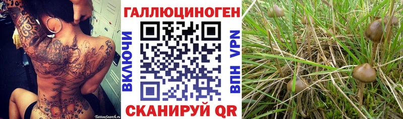 Купить закладки  Бугульма  Псилоцибиновые грибы Psilocybine cubensis 